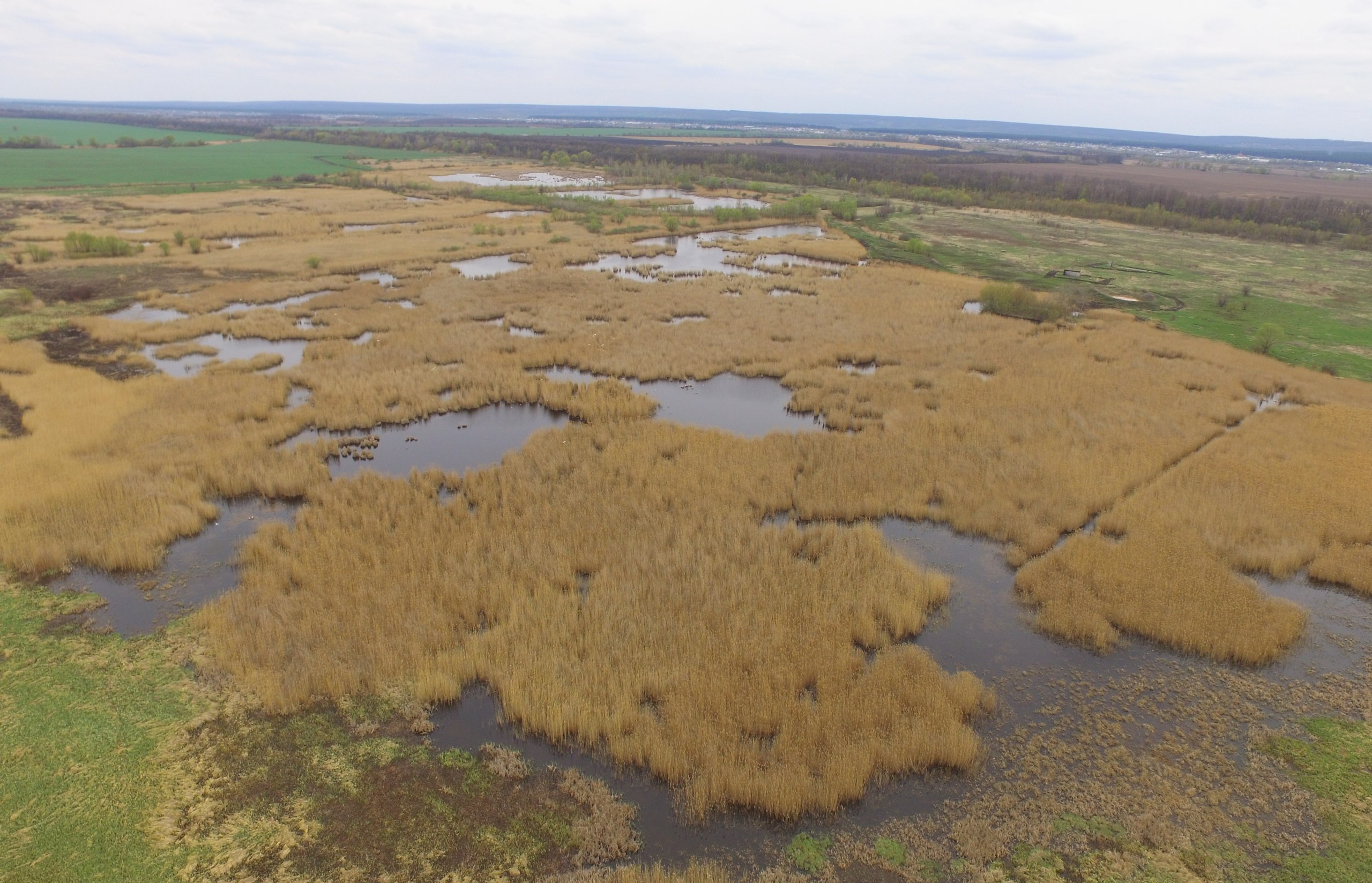 Водно Болотное угодье